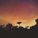 Image for article titled 44 Of The Best Smartphone Photos You Can Take